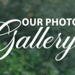 Wedding Thumbnail 03